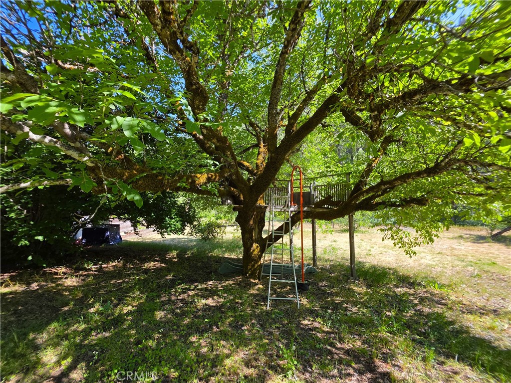 50721 State Highway 96