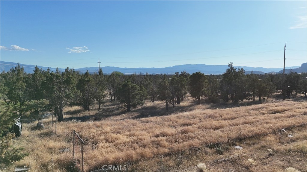 5200 Blackberry Lane