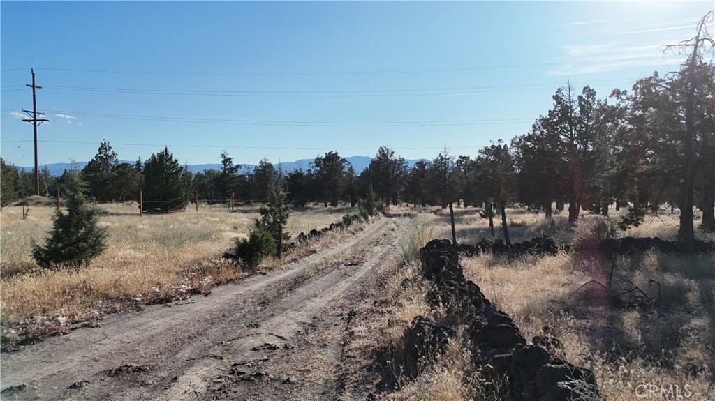 5200 Blackberry Lane