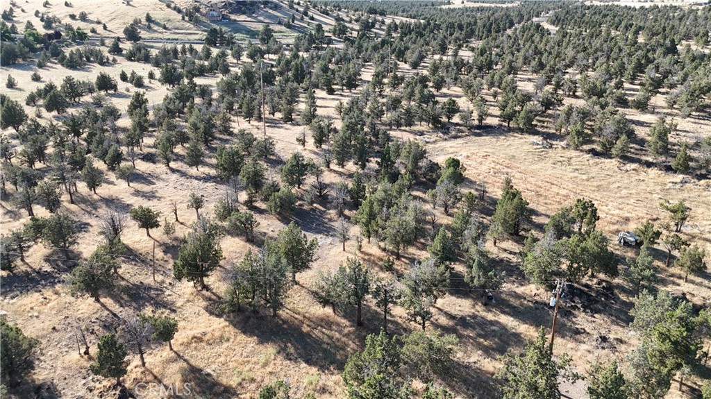 5200 Blackberry Lane