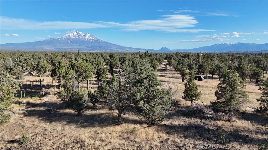 5200 Blackberry Lane