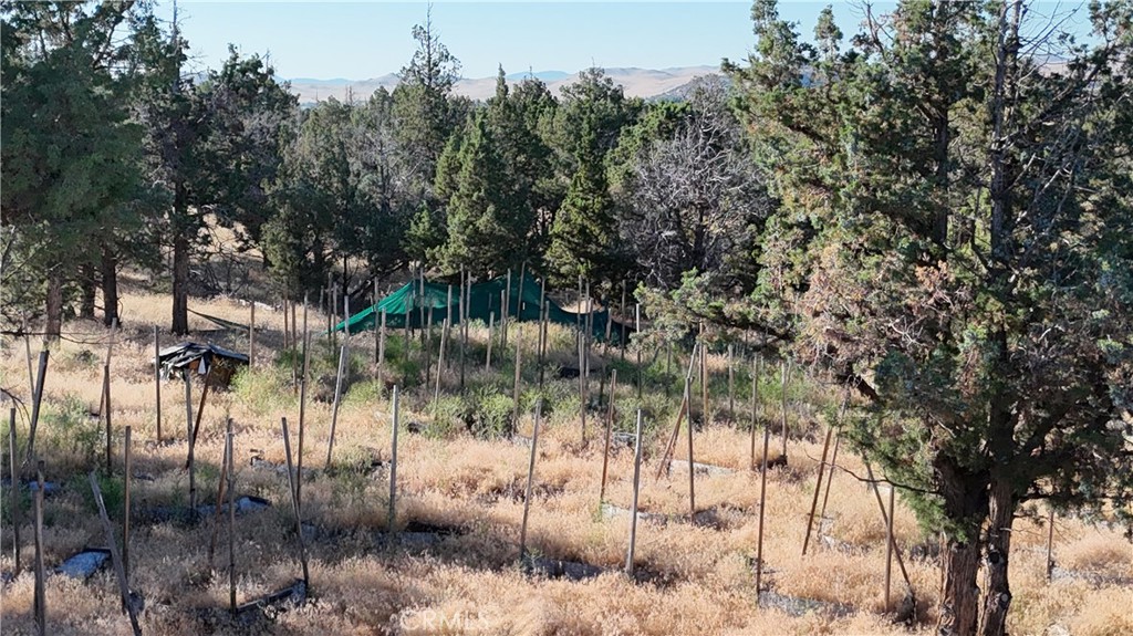 5200 Blackberry Lane