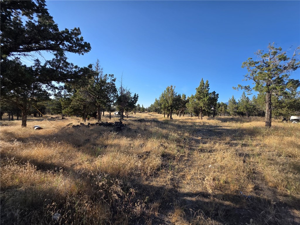 5200 Blackberry Lane