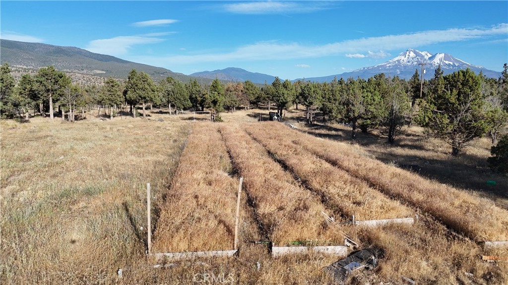 5200 Blackberry Lane