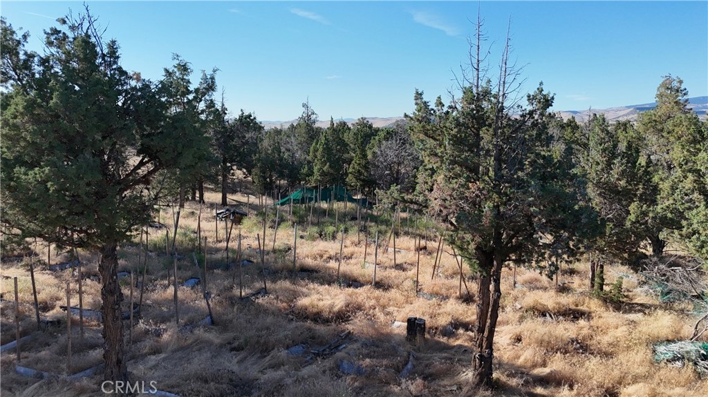 5200 Blackberry Lane