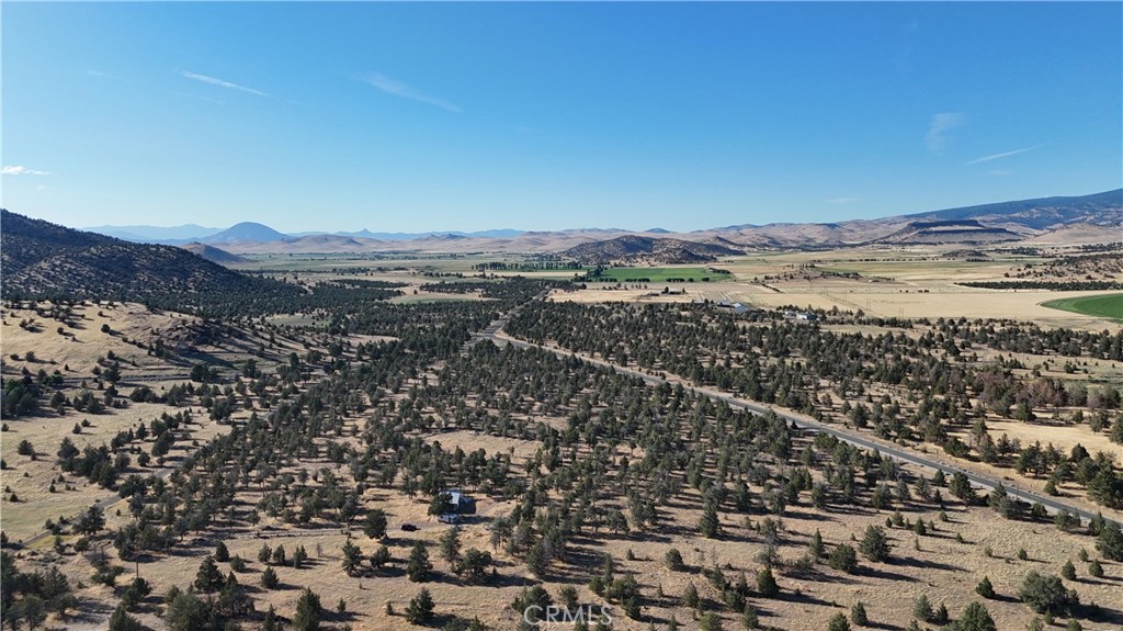 5200 Blackberry Lane