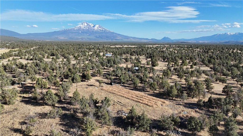 5200 Blackberry Lane