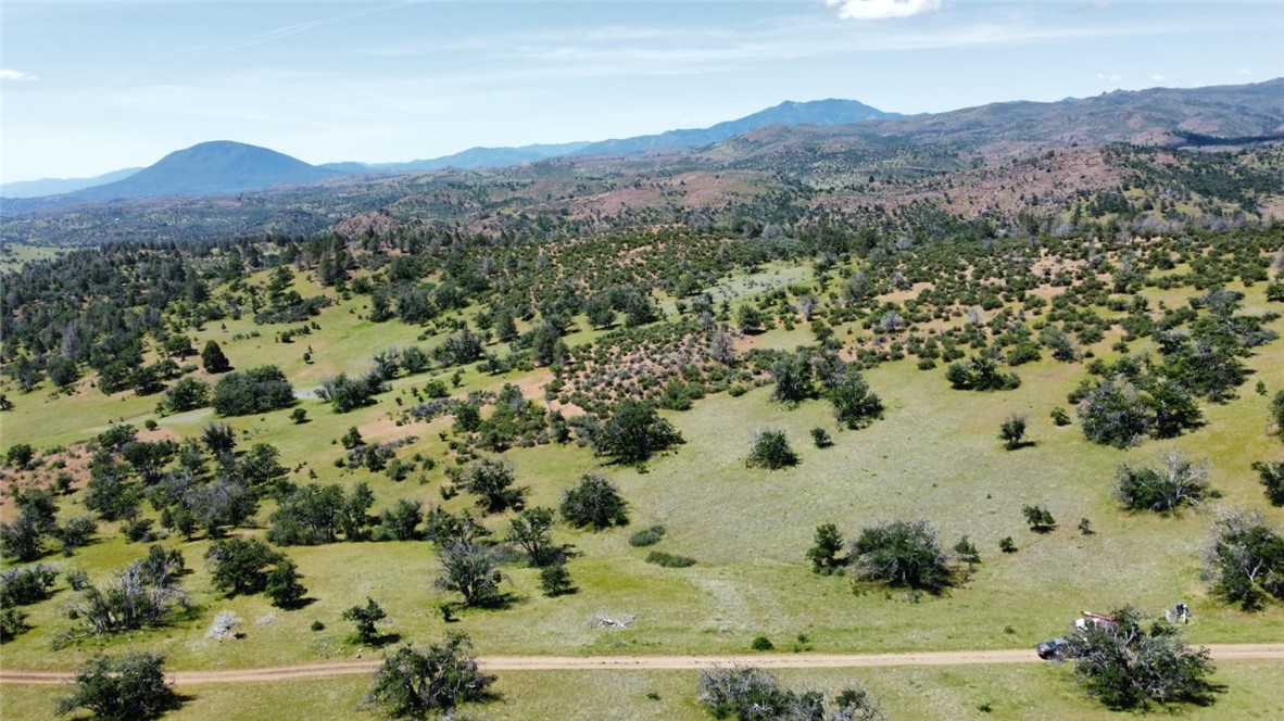 0 XX Yellow Dog Trail