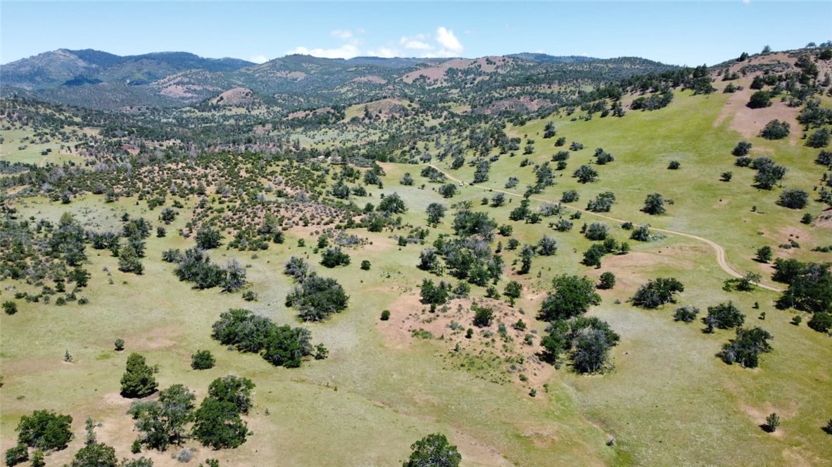 0 XX Yellow Dog Trail