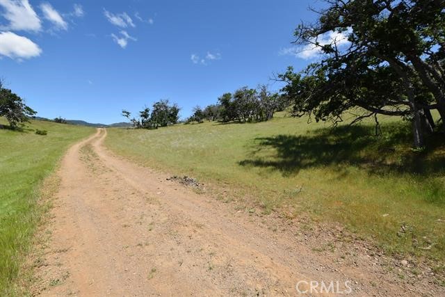 0 XX Yellow Dog Trail