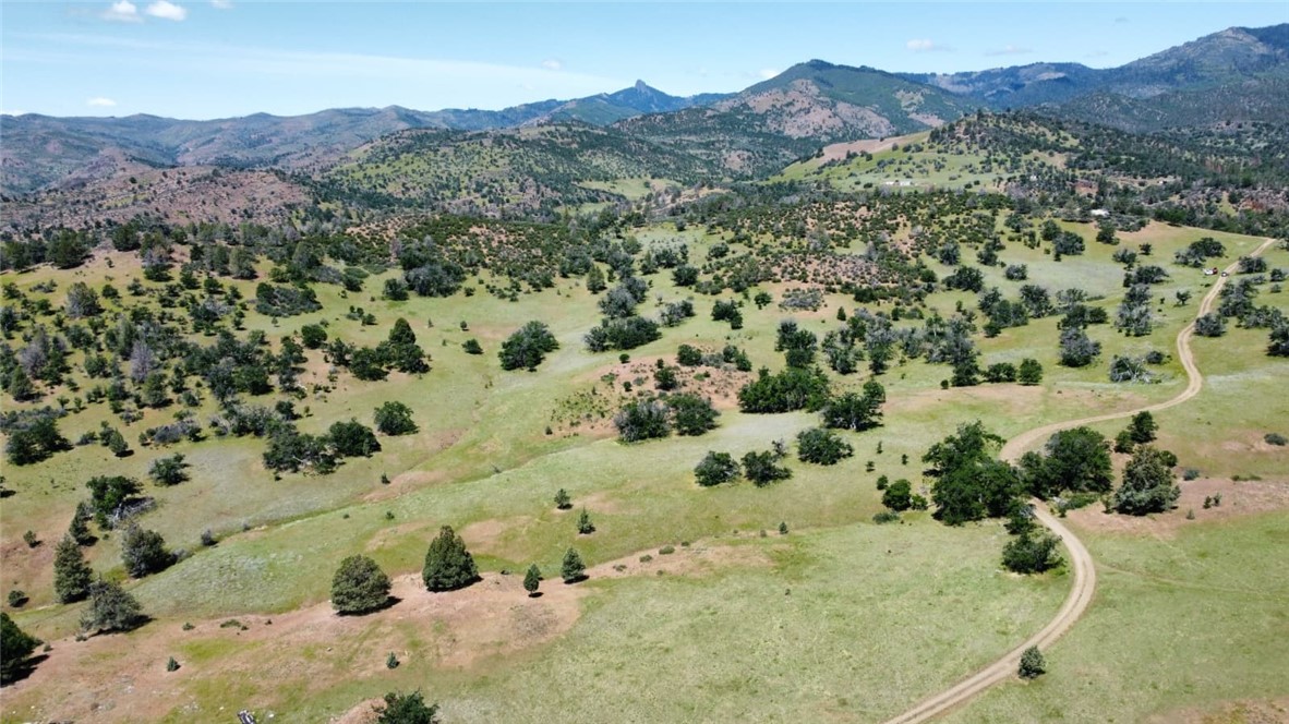 0 XX Yellow Dog Trail