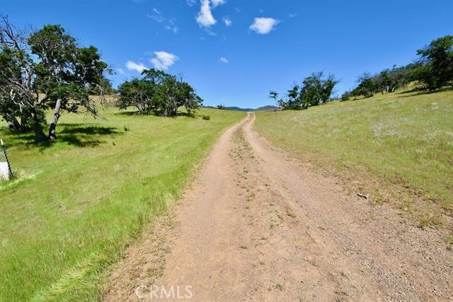 0 XX Yellow Dog Trail