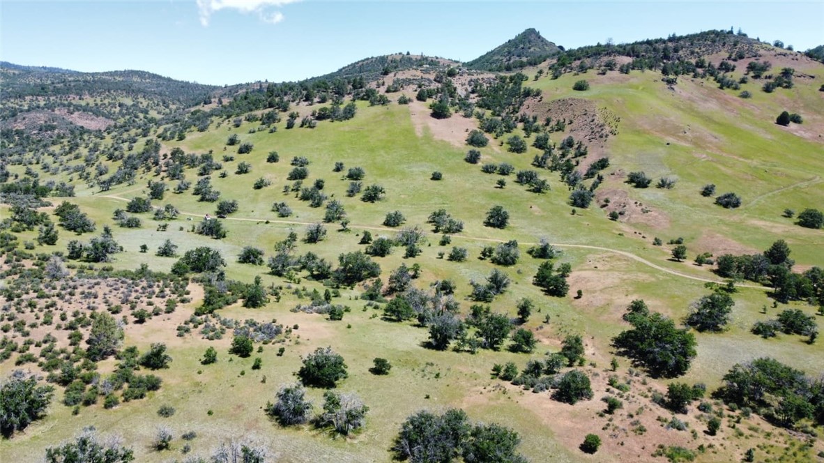 0 XX Yellow Dog Trail