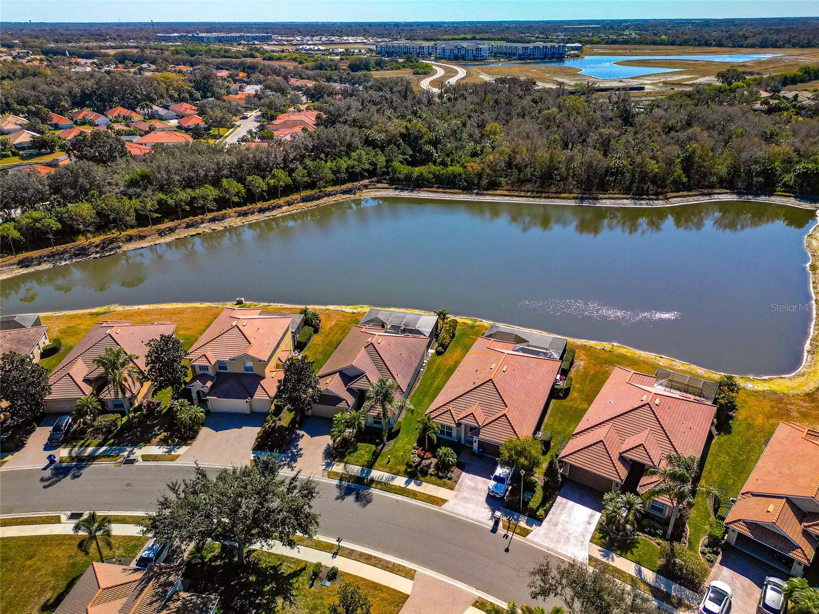 223 RIVER ENCLAVE CT