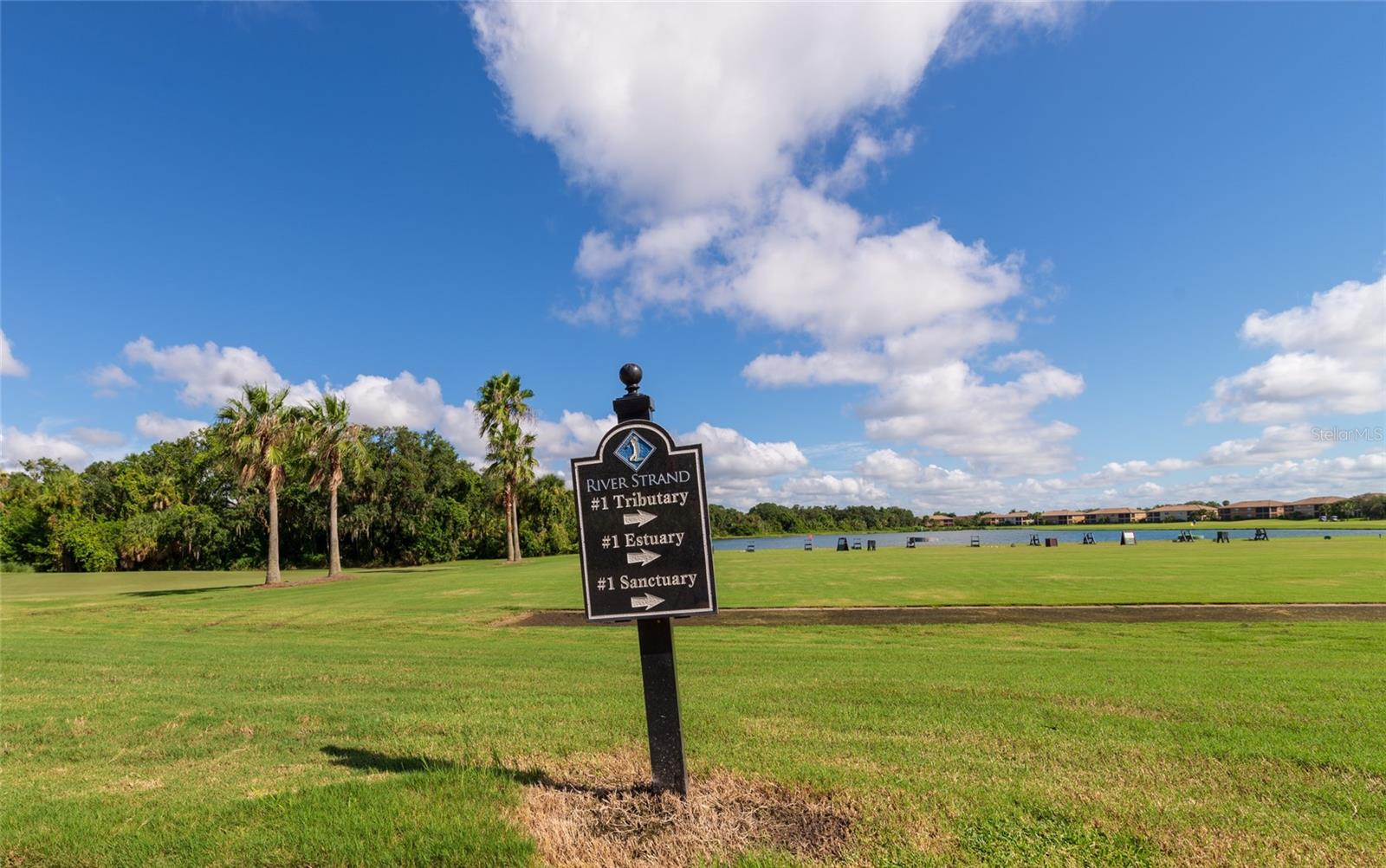 223 RIVER ENCLAVE CT