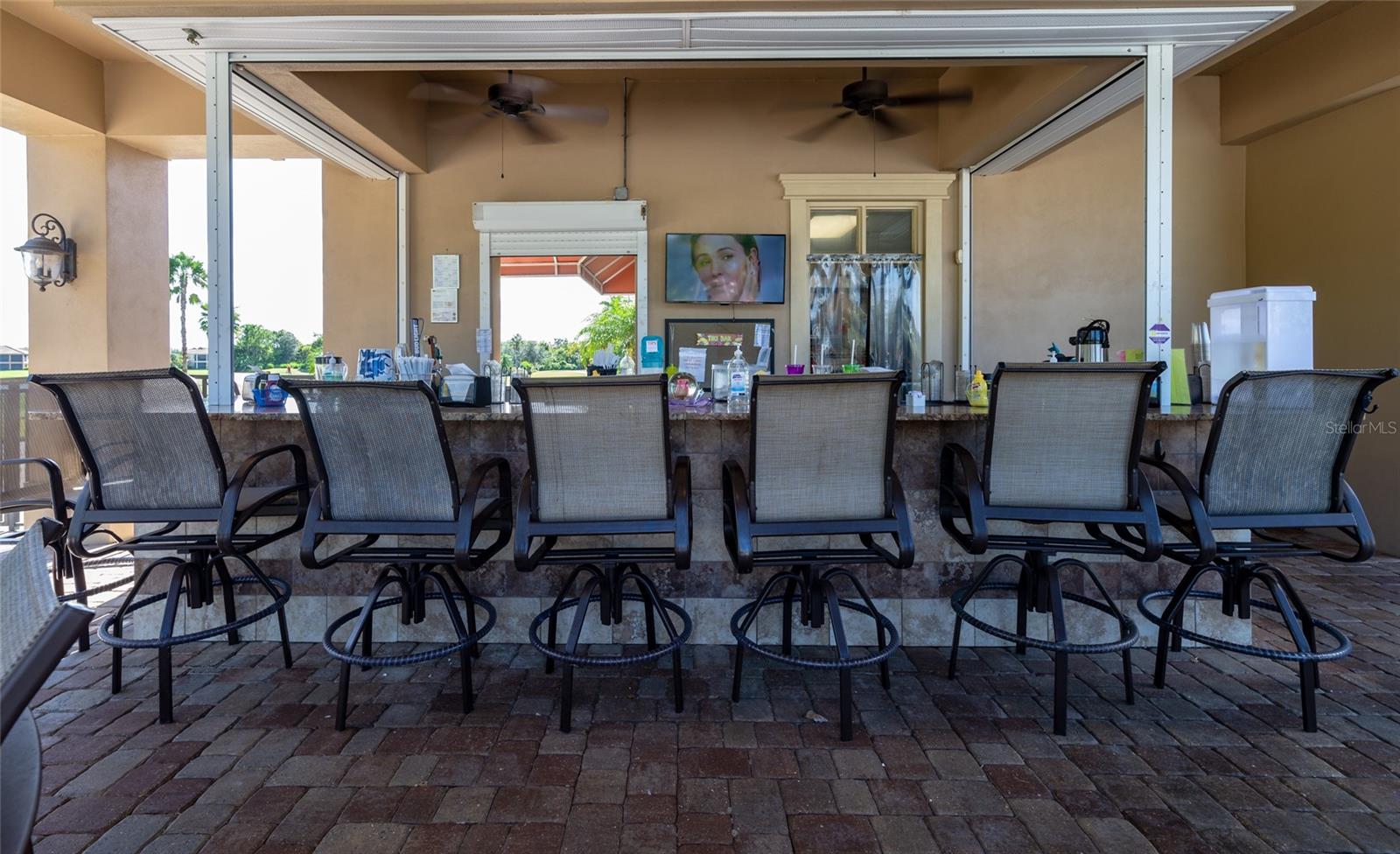 223 RIVER ENCLAVE CT