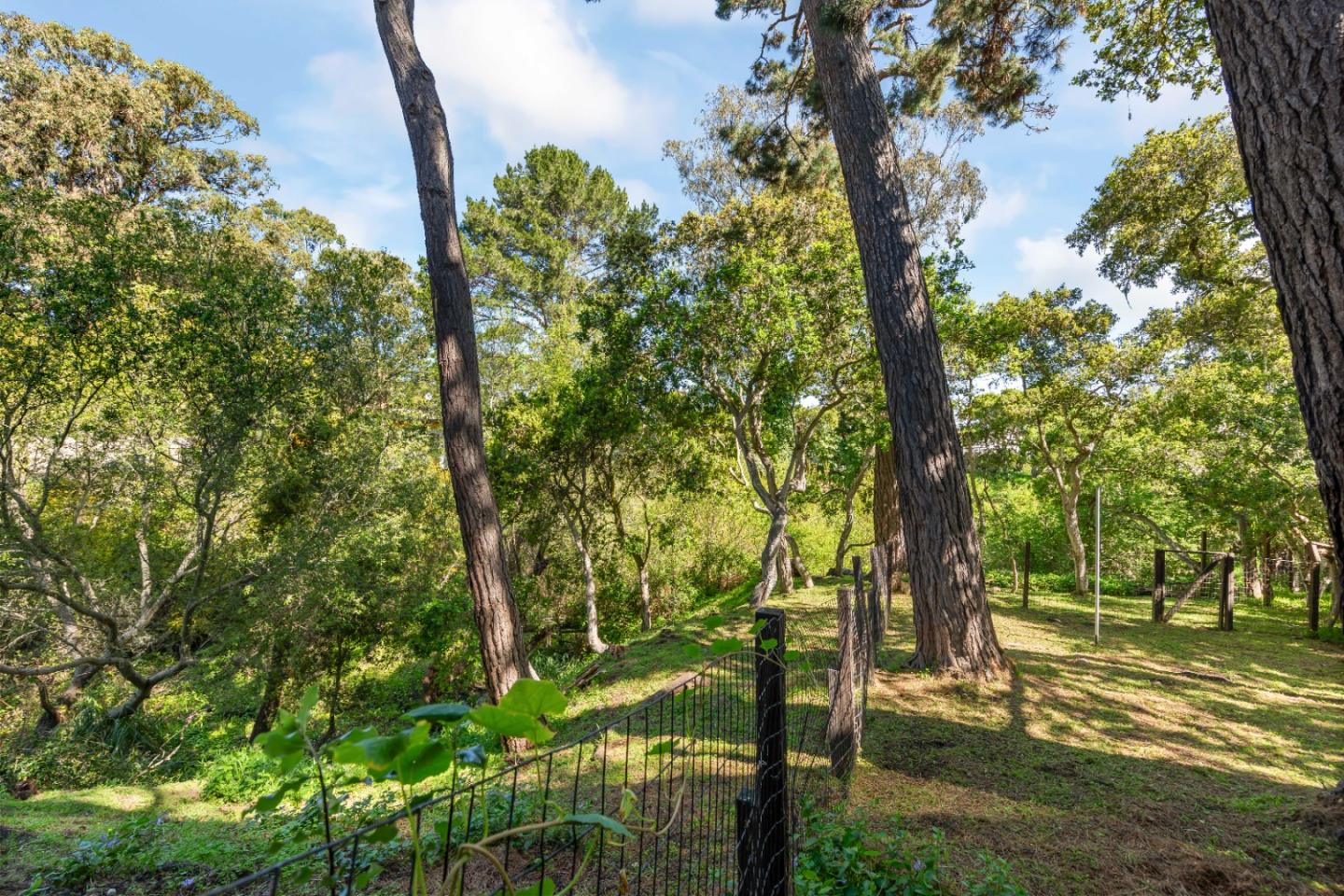 711 Woodcrest Lane