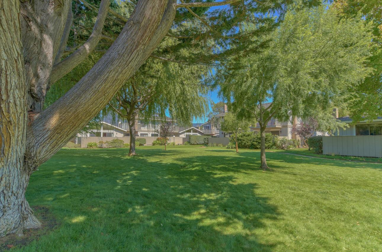 3850 Rio Road 56