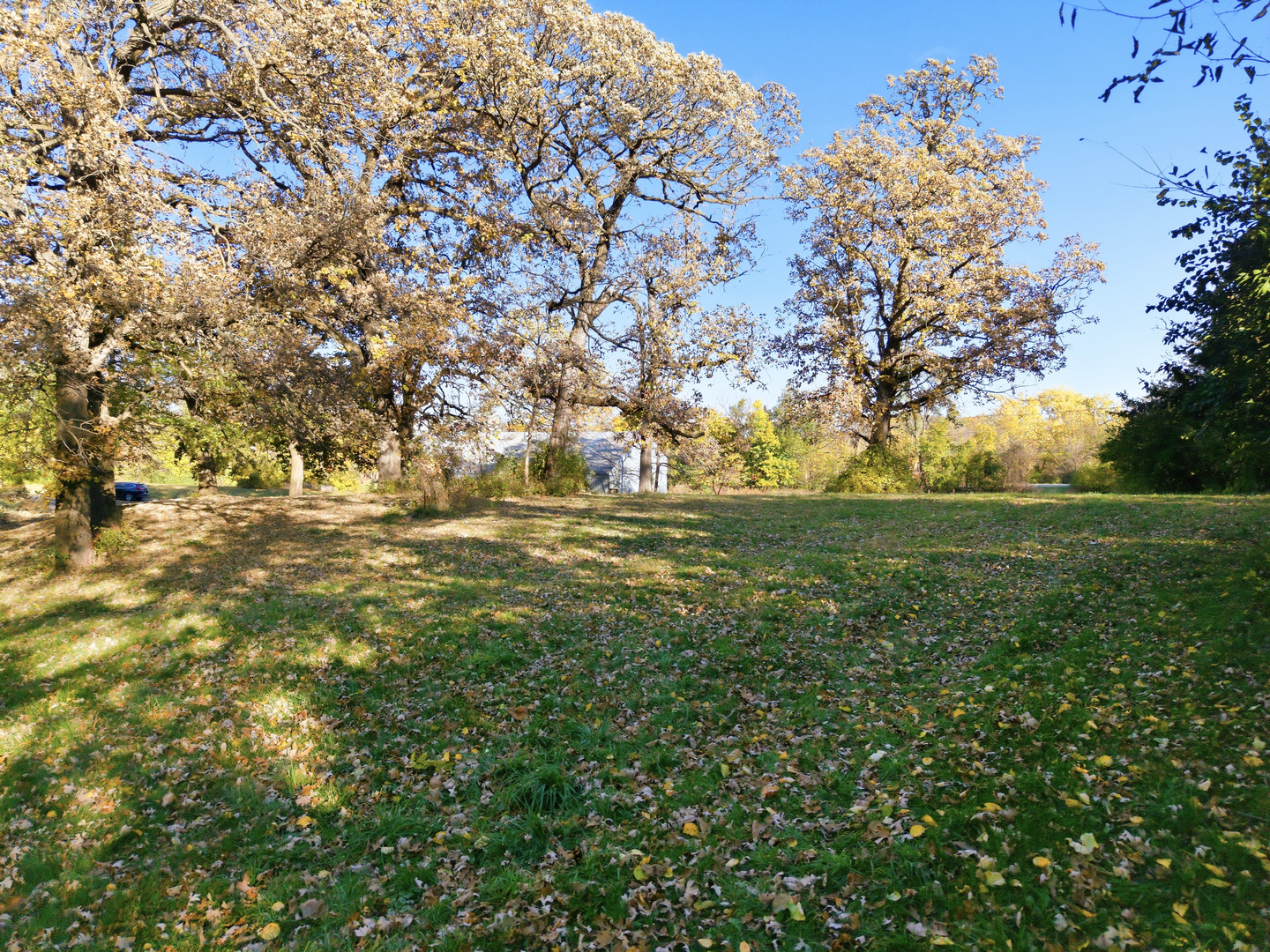 3805 Klasen Road