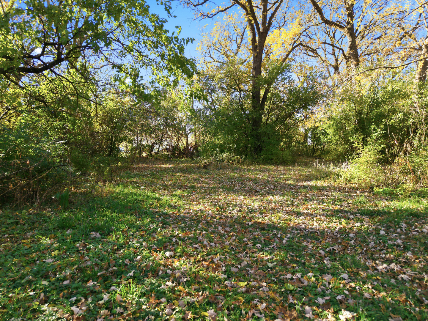 3805 Klasen Road