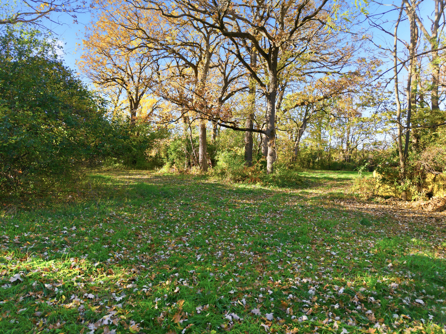 3805 Klasen Road