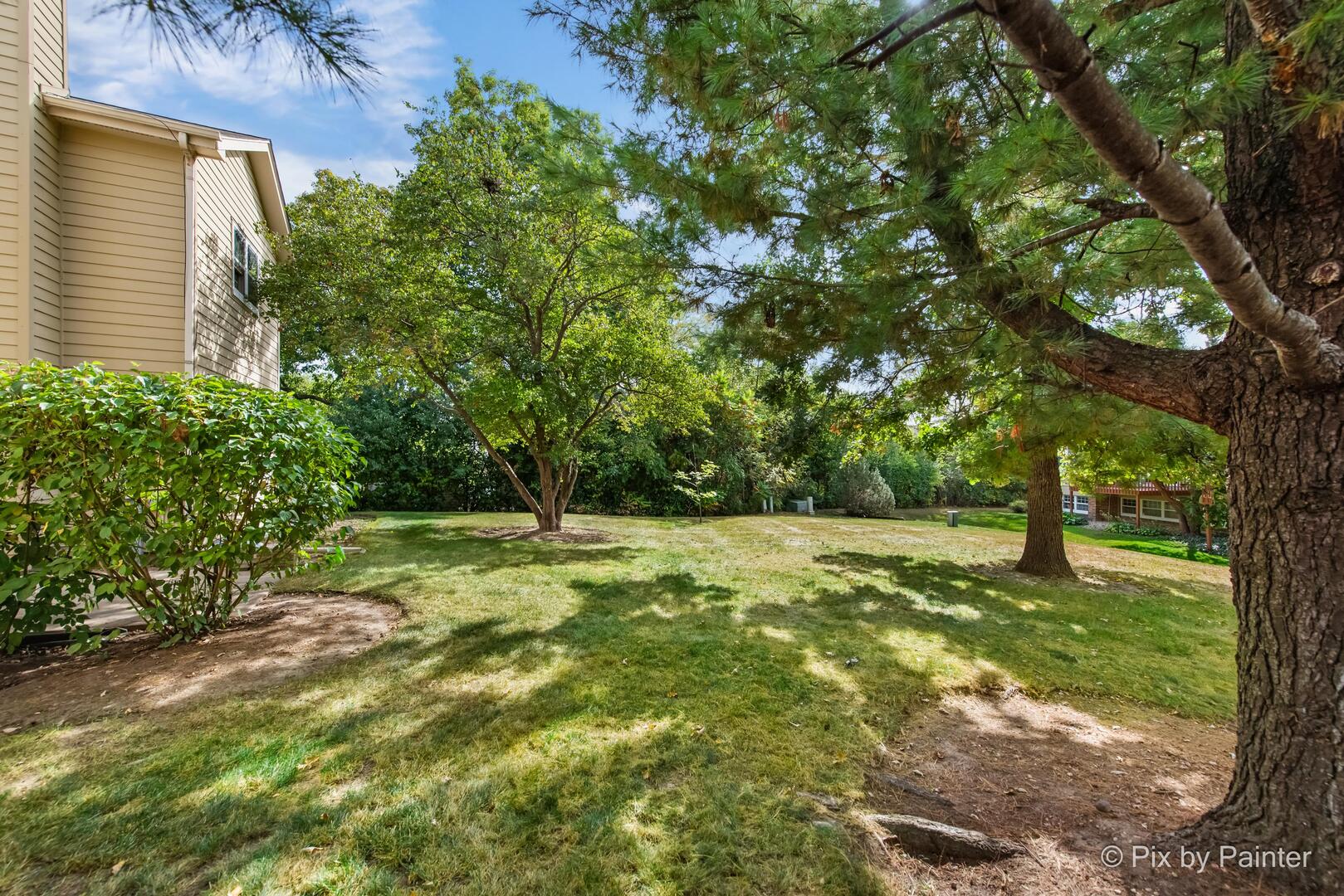 519 Shagbark Drive