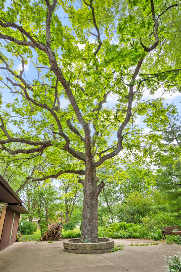 16 Greenridge Road