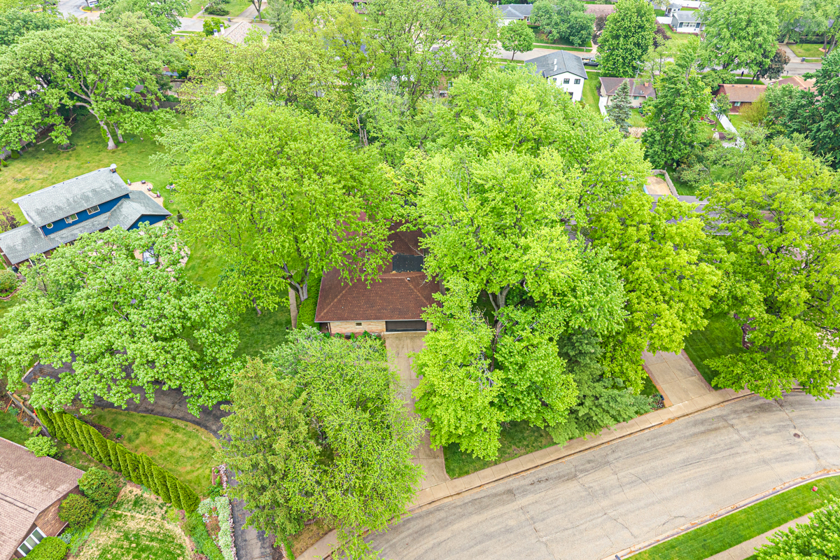 16 Greenridge Road