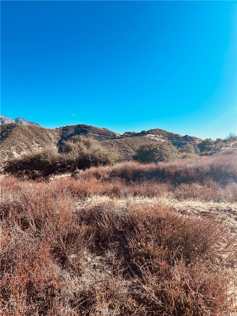 37551 Pisgah Peak Road