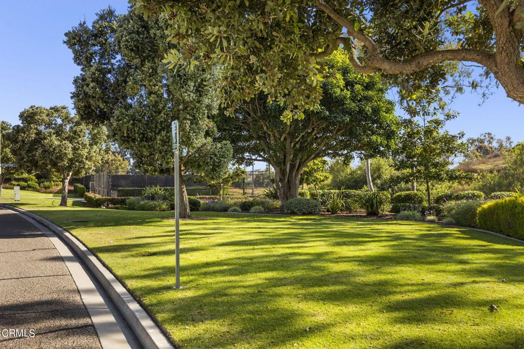 2304 Arcadian Shores Trail