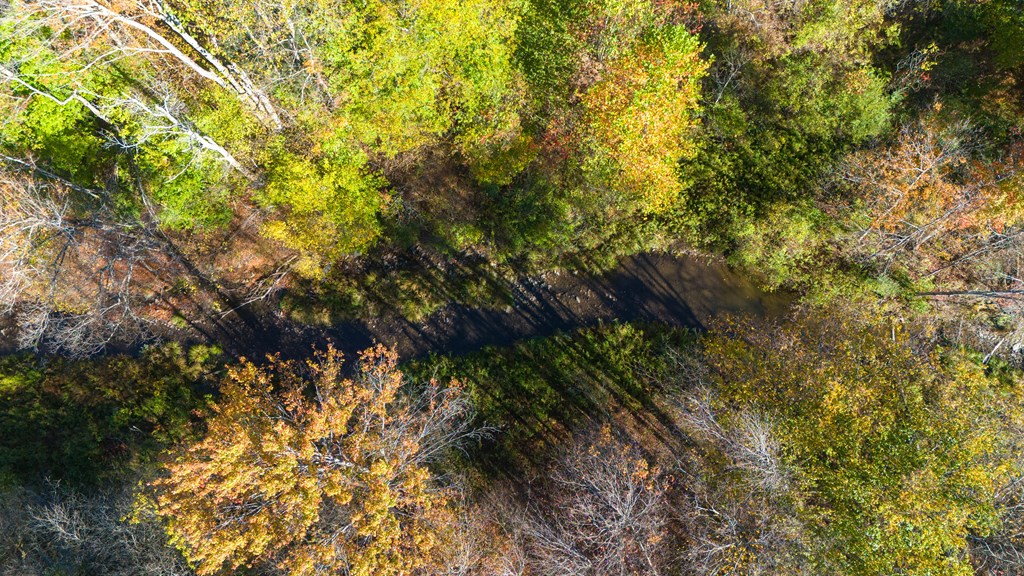 8269 Coryland Rd, Gillett