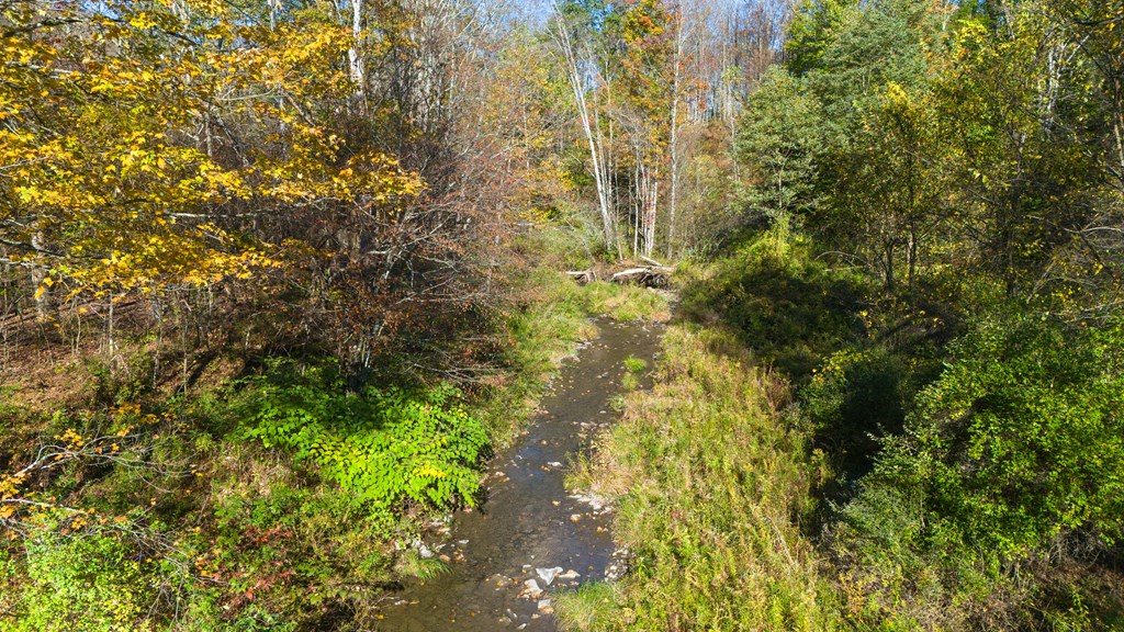 8269 Coryland Rd, Gillett