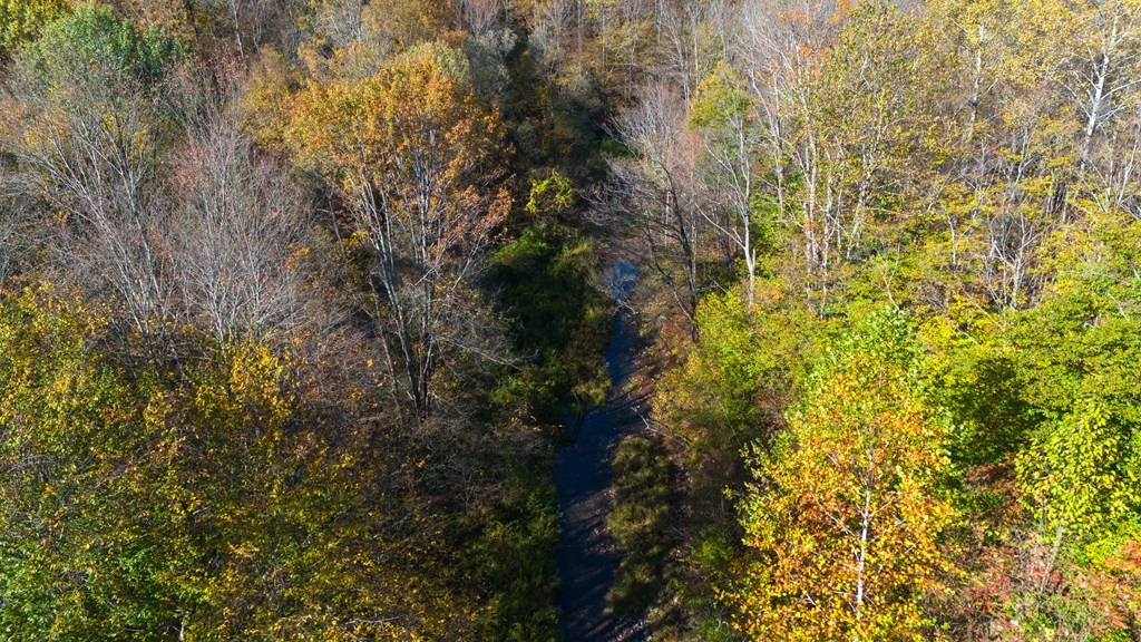 8269 Coryland Rd, Gillett