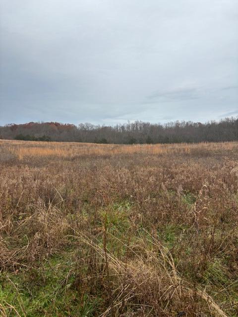 300 Goose Creek Road