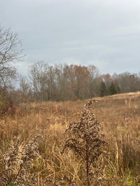 300 Goose Creek Road