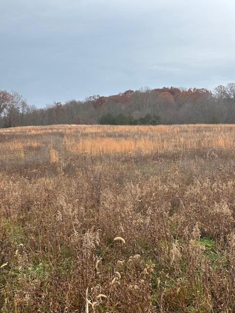 300 Goose Creek Road