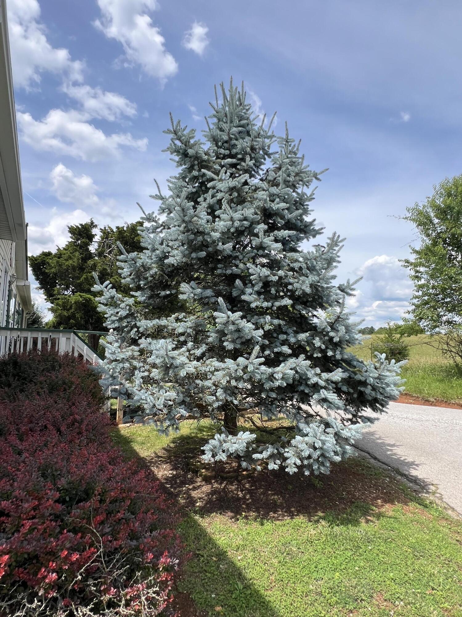 205 Don Thompson Road