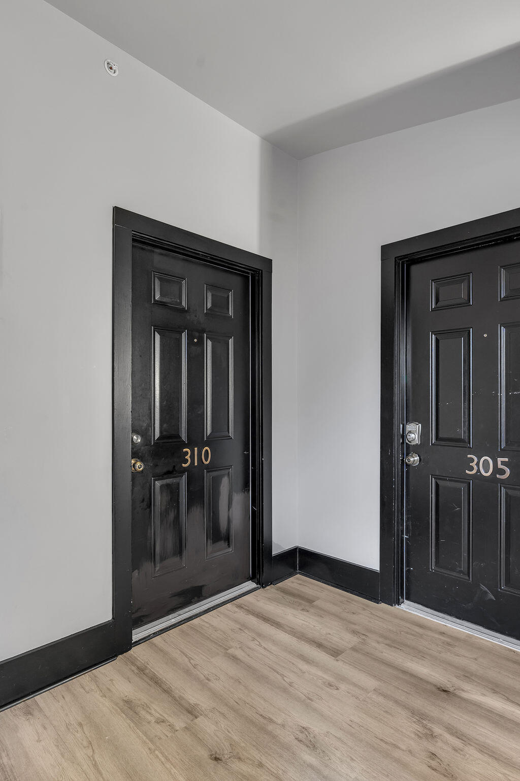 275 S Limestone 310