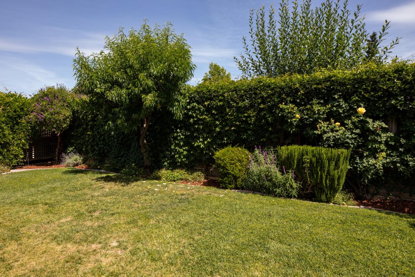 2349 Carol Avenue