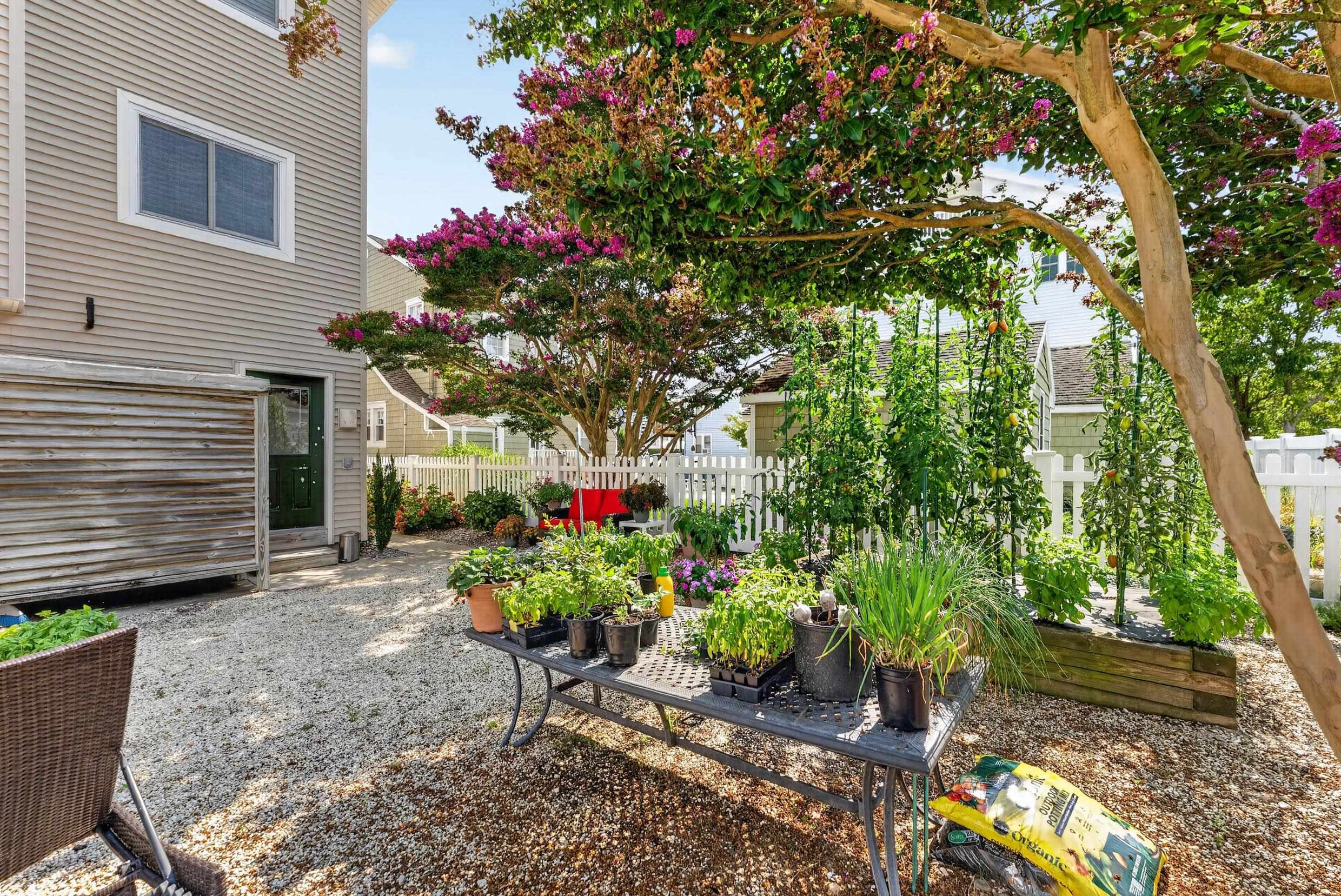 356 East 39th Unit: East