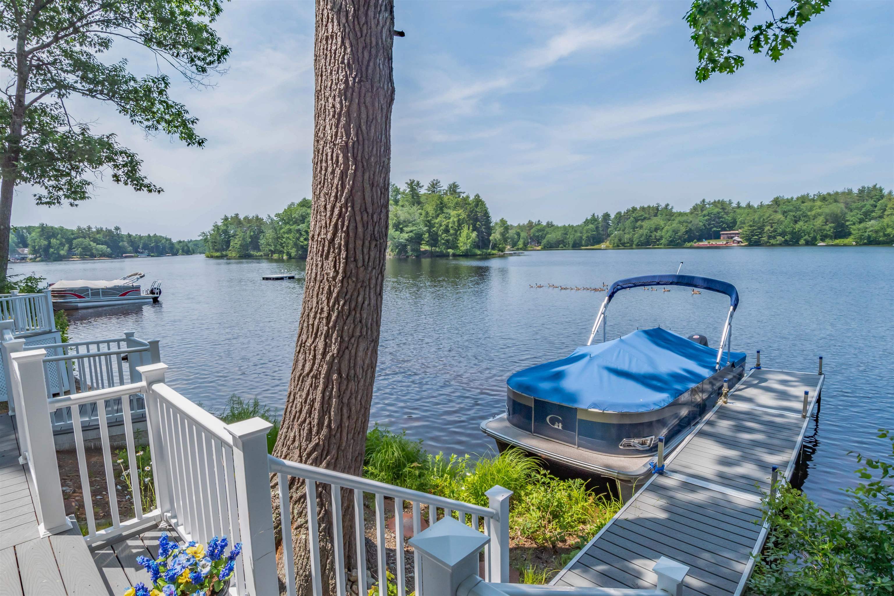 66 Paradise Island Road