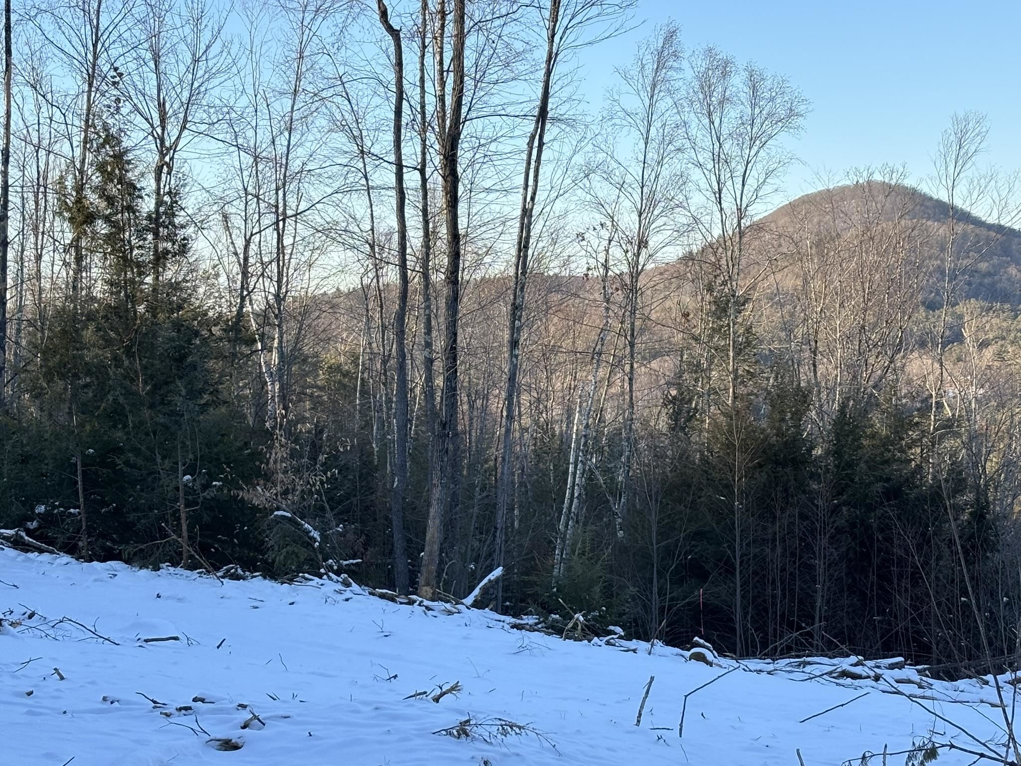 Whipple Hill Road