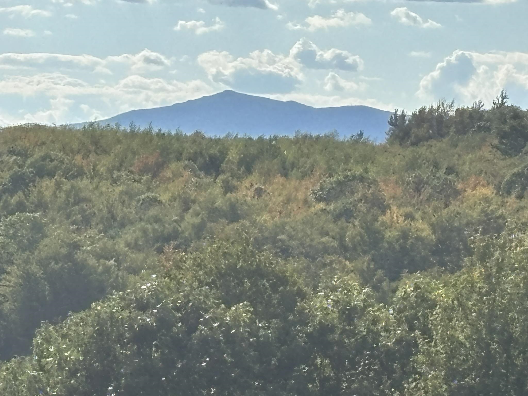 477 E Mountain Road