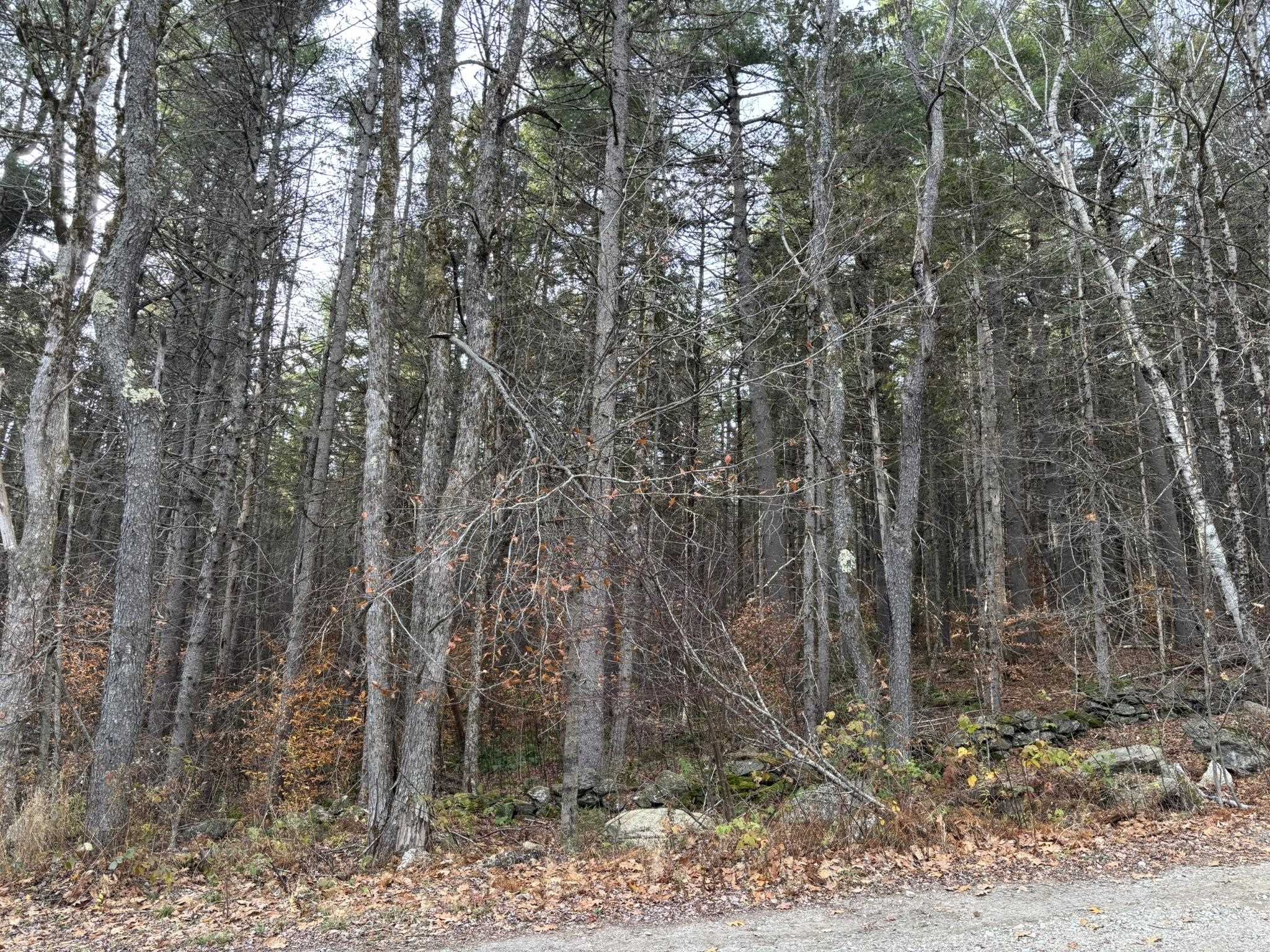 000 Sandy Pond Road