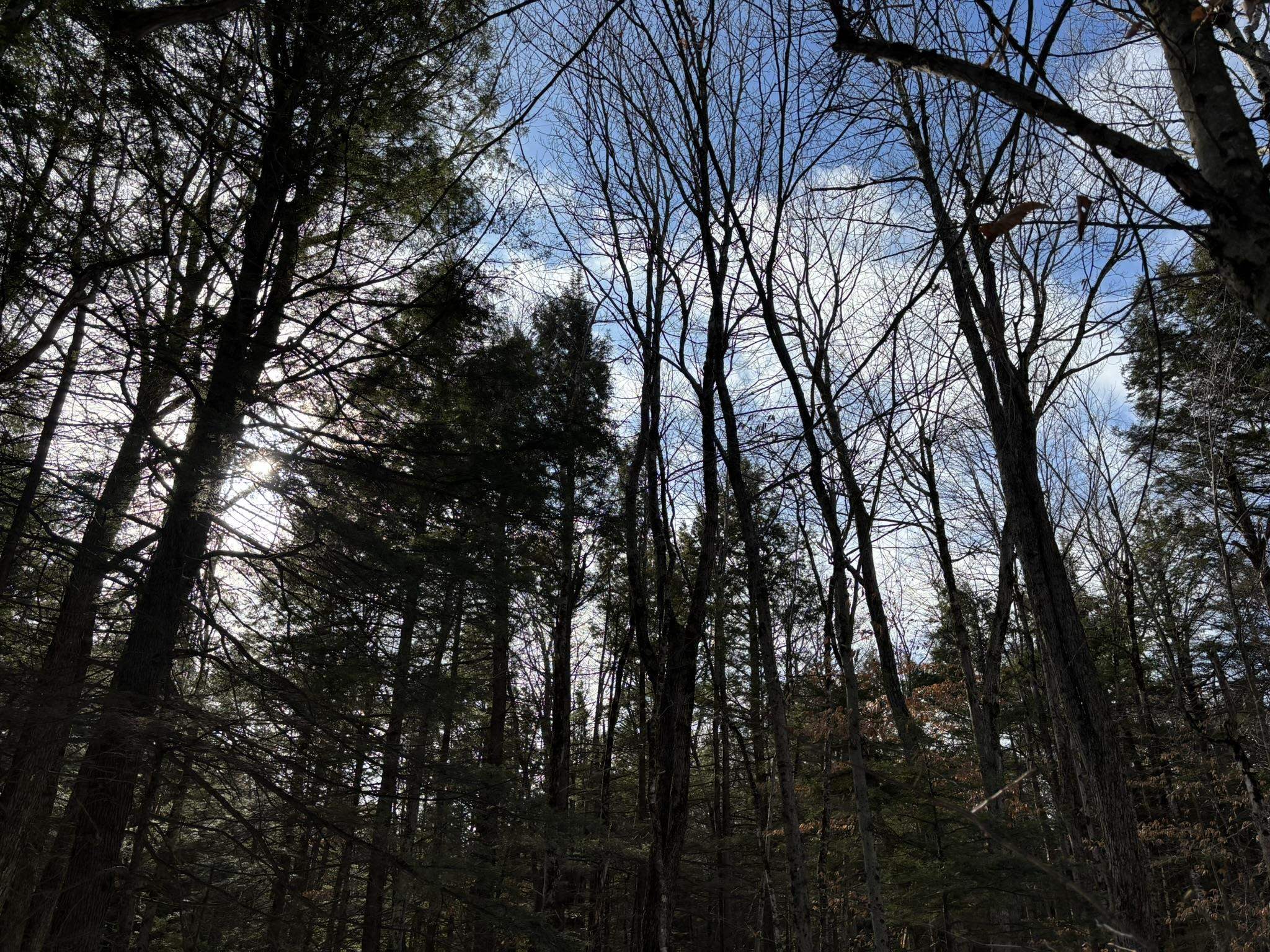 000 East Washington Road