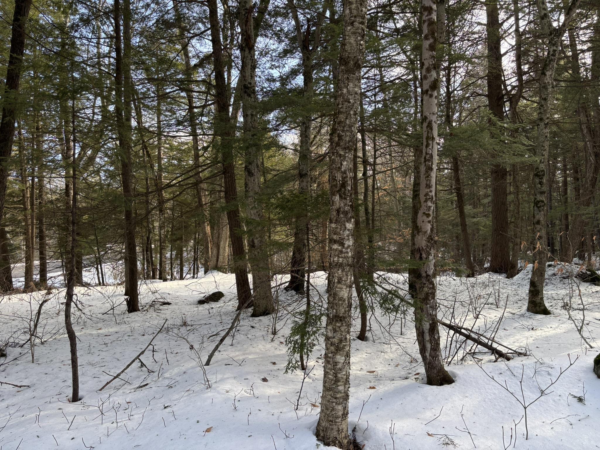 000 East Washington Road