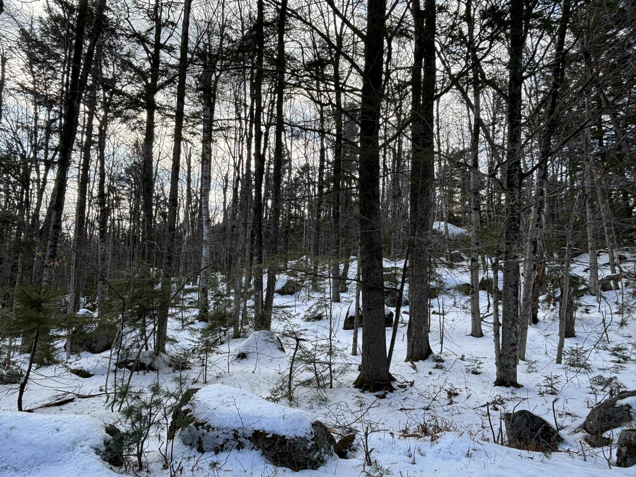 000 East Washington Road