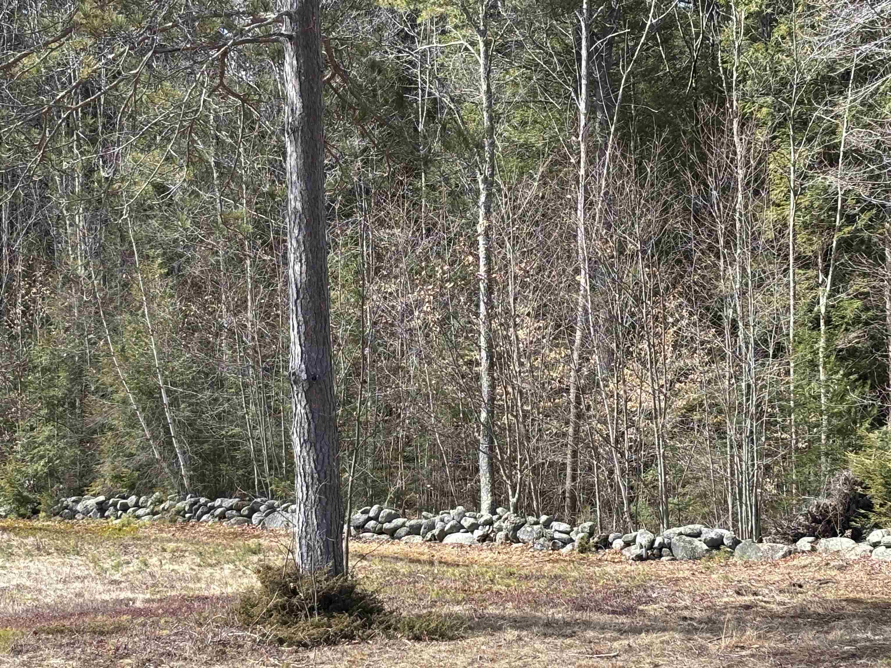 86 Mountain Road