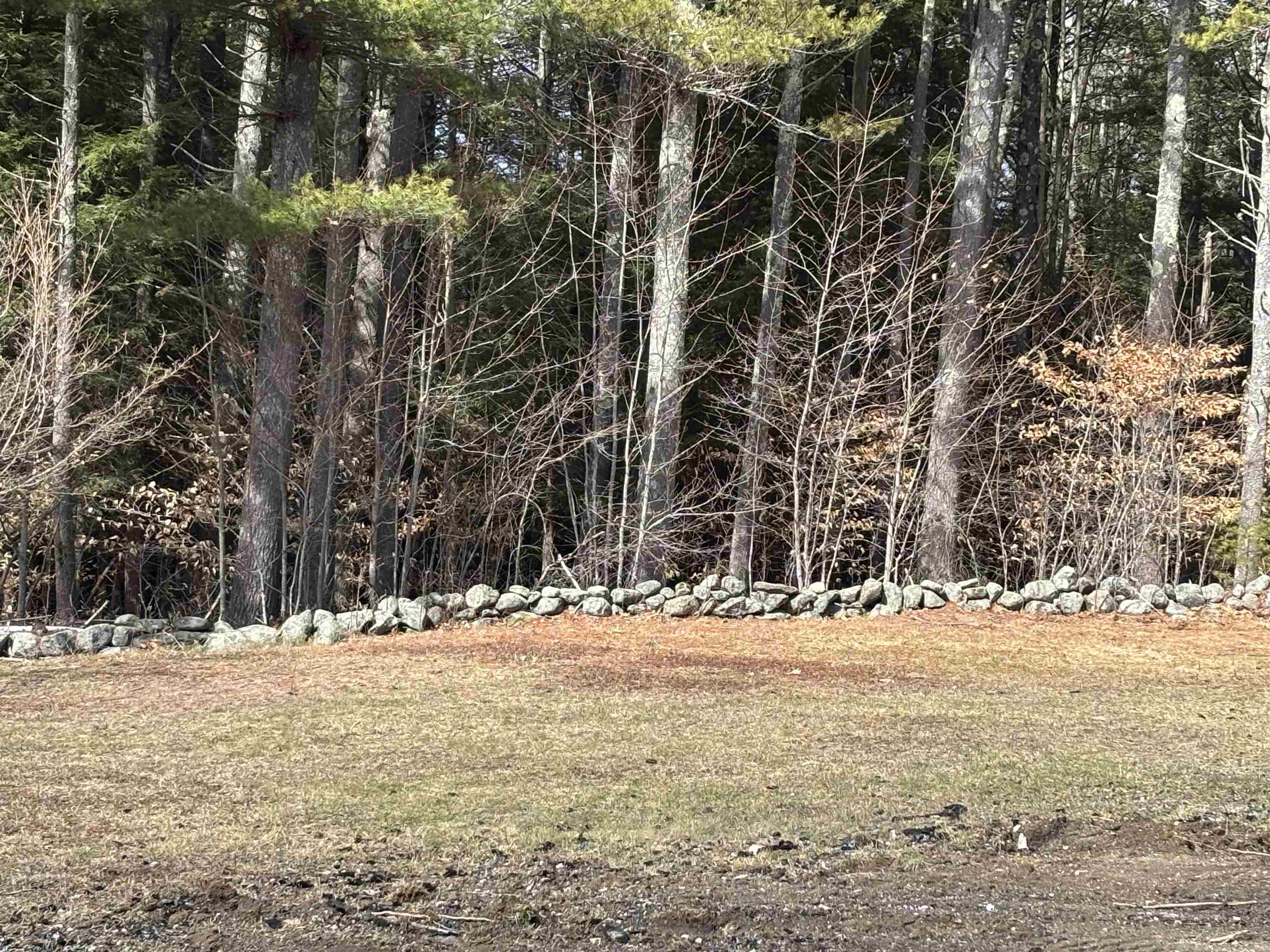 86 Mountain Road