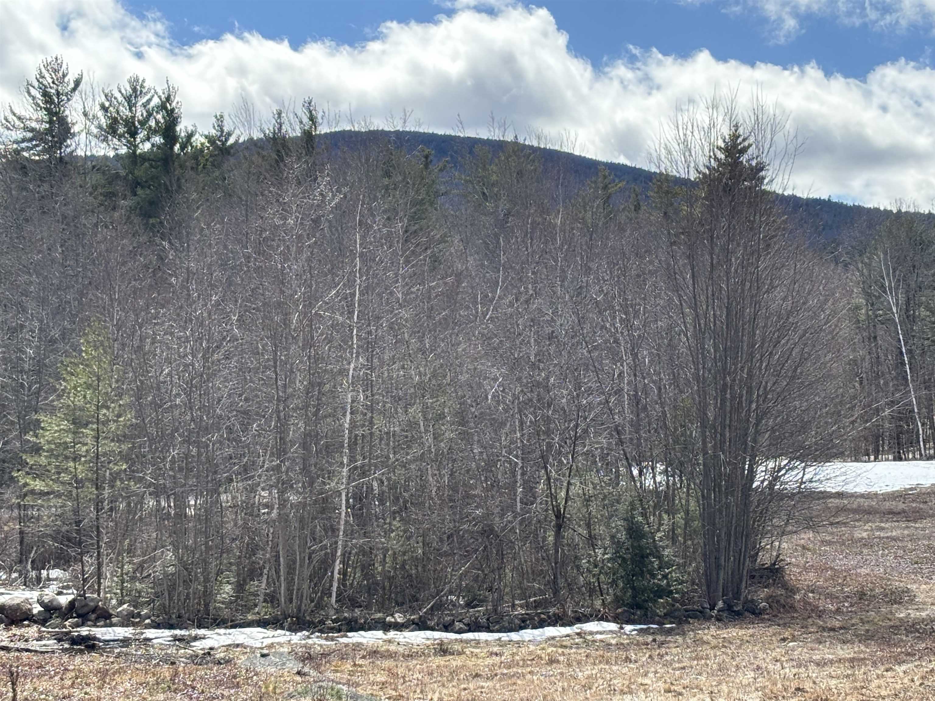 86 Mountain Road